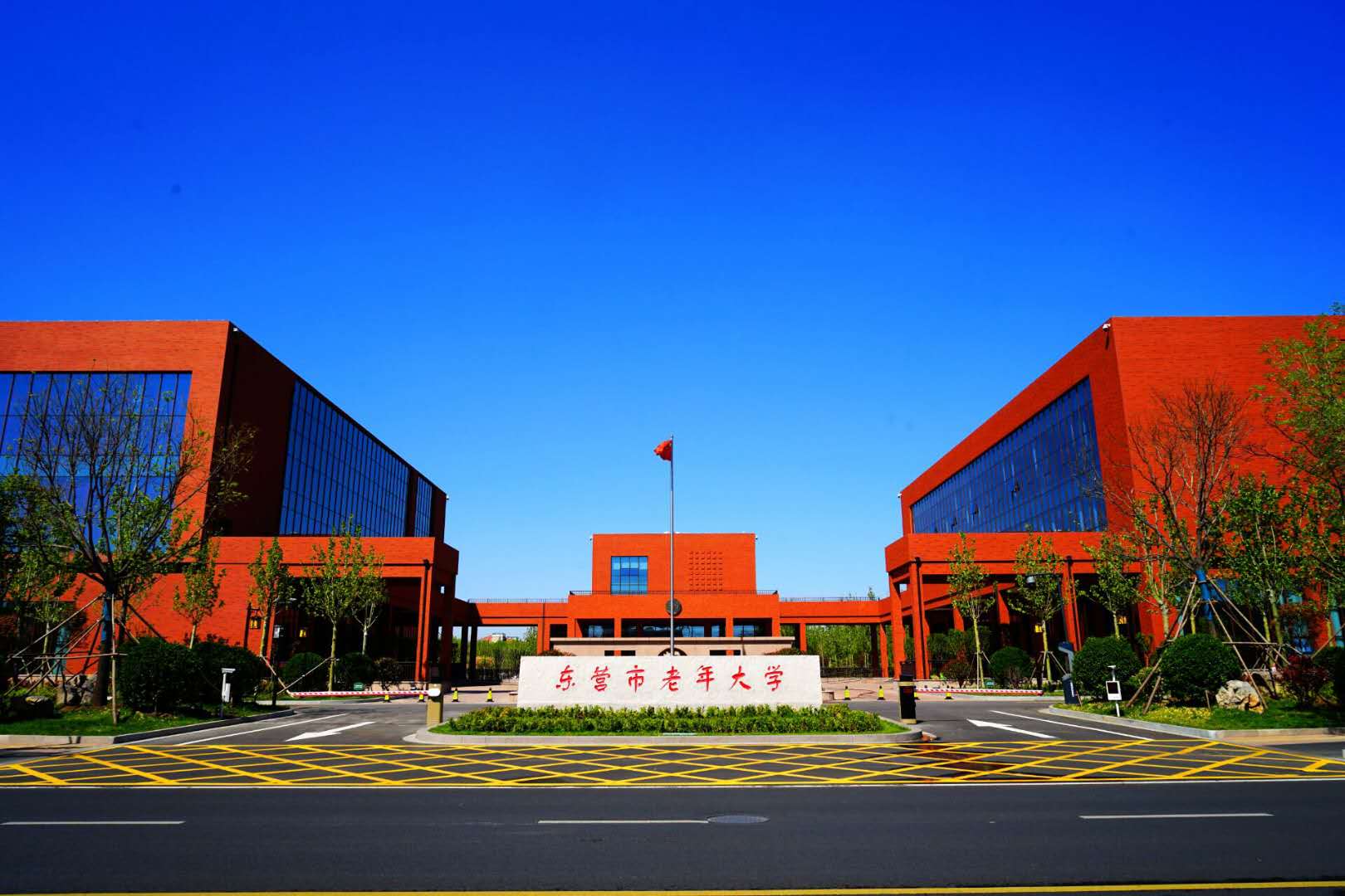 东营市老年大学第二周直播课预告来啦！